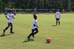 IMG_0227 (cam 0)