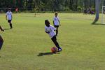 IMG_0231 (cam 0)
