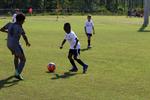 IMG_0232 (cam 0)