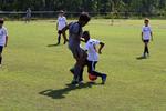 IMG_0233 (cam 0)
