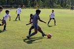 IMG_0234 (cam 0)