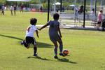 IMG_0239 (cam 0)