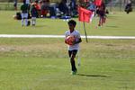 IMG_0243 (cam 0)