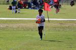 IMG_0244 (cam 0)