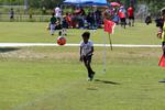IMG_0250 (cam 0)