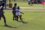 IMG_0252 (cam 0)