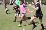 IMG_0056 (cam 0)