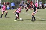 IMG_0084 (cam 0)