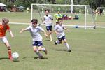 IMG_0005 (cam 0)