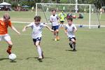 IMG_0006 (cam 0)