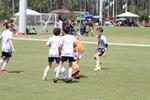 IMG_0014 (cam 0)