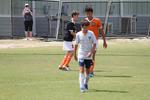 IMG_0022 (cam 0)