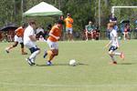 IMG_0029 (cam 0)