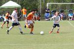 IMG_0031 (cam 0)