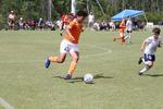 IMG_0034 (cam 0)