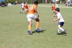 IMG_0040 (cam 0)