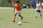 IMG_0061 (cam 0)
