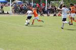 IMG_0083 (cam 0)