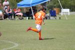 IMG_0084 (cam 0)