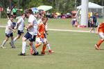 IMG_0109 (cam 0)