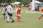 IMG_0110 (cam 0)