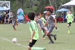 IMG_0036 (cam 0)