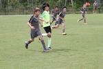 IMG_0045 (cam 0)