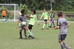 IMG_0055 (cam 0)