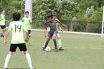 IMG_0080 (cam 0)