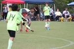 IMG_0132 (cam 0)