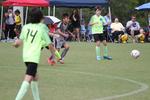 IMG_0133 (cam 0)