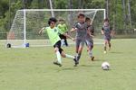 IMG_0209 (cam 0)