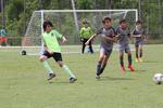 IMG_0211 (cam 0)