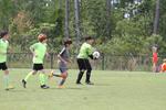 IMG_0219 (cam 0)