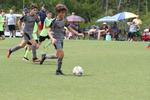 IMG_0237 (cam 0)