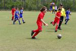 IMG_0036 (cam 0)