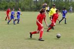 IMG_0037 (cam 0)