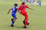 IMG_0042 (cam 0)