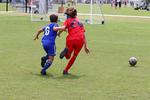 IMG_0045 (cam 0)