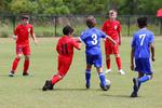 IMG_0084 (cam 0)