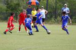 IMG_0100 (cam 0)