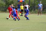 IMG_0102 (cam 0)