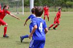 IMG_0115 (cam 0)
