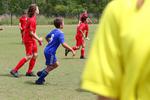 IMG_0117 (cam 0)