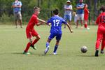 IMG_0118 (cam 0)