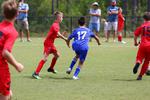 IMG_0119 (cam 0)