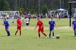 IMG_0141 (cam 0)