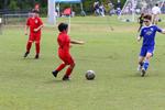 IMG_0200 (cam 0)