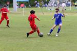 IMG_0201 (cam 0)