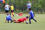 IMG_0208 (cam 0)
